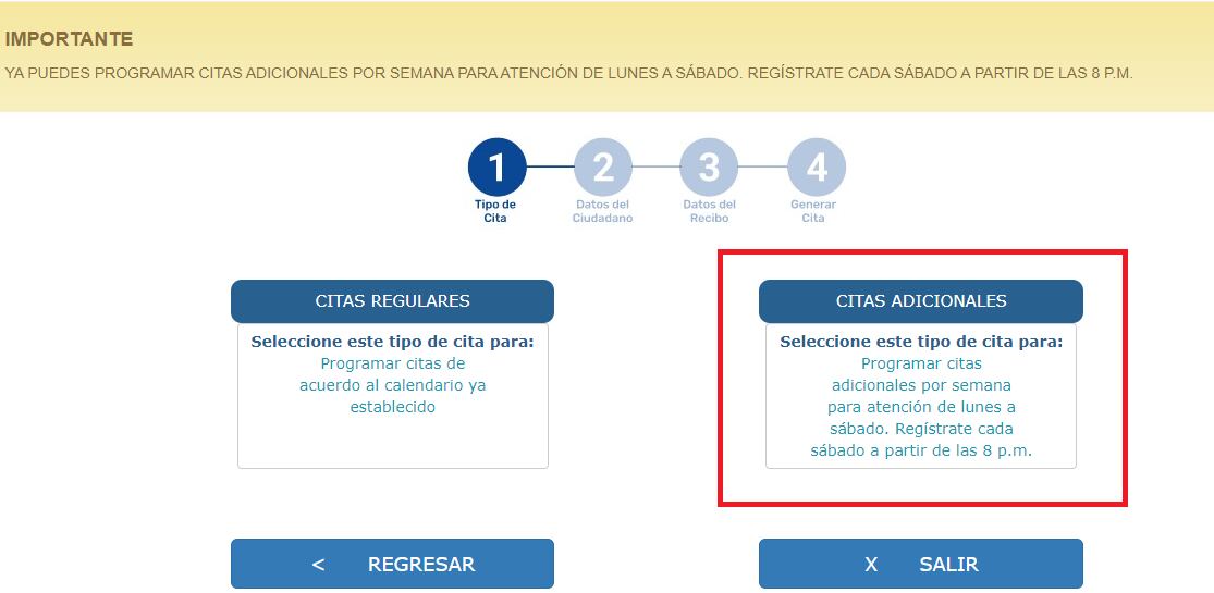 Da clic en la opción “citas adicionales”.