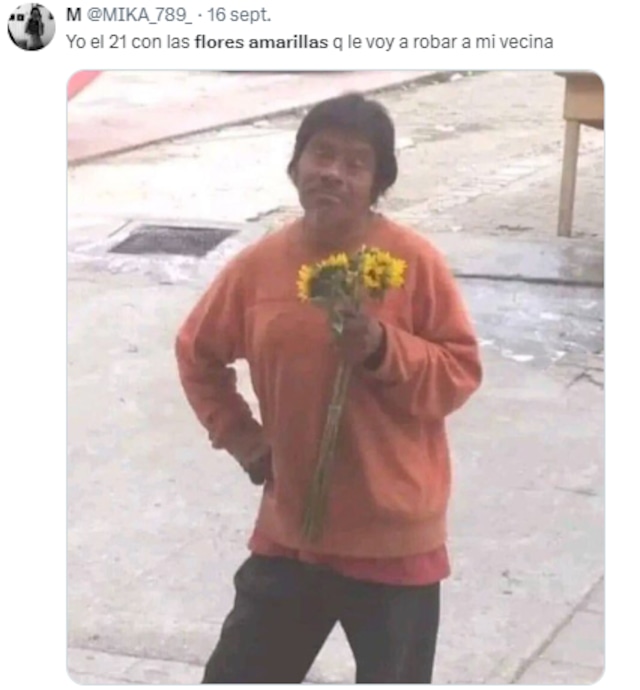 Memes de flores amarillas