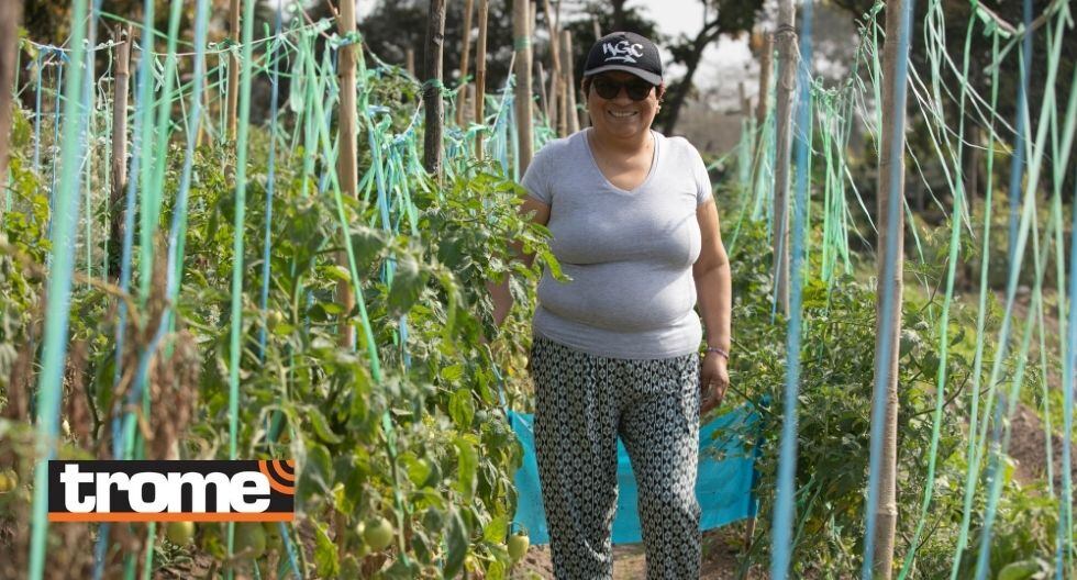 Mamita dejó su trabajo de contadora para dedicarse a trabajar la tierra. (Foto: Trome)