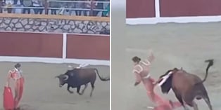 Toro embiste a joven promesa de la tauromaquia en Ayacucho