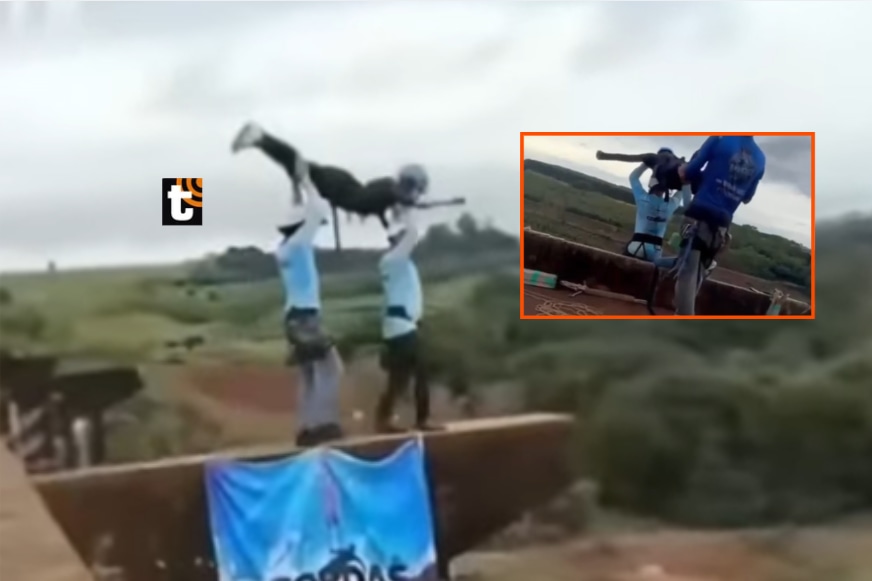 Mujer muere al realizar salto de bungee en Brasil.