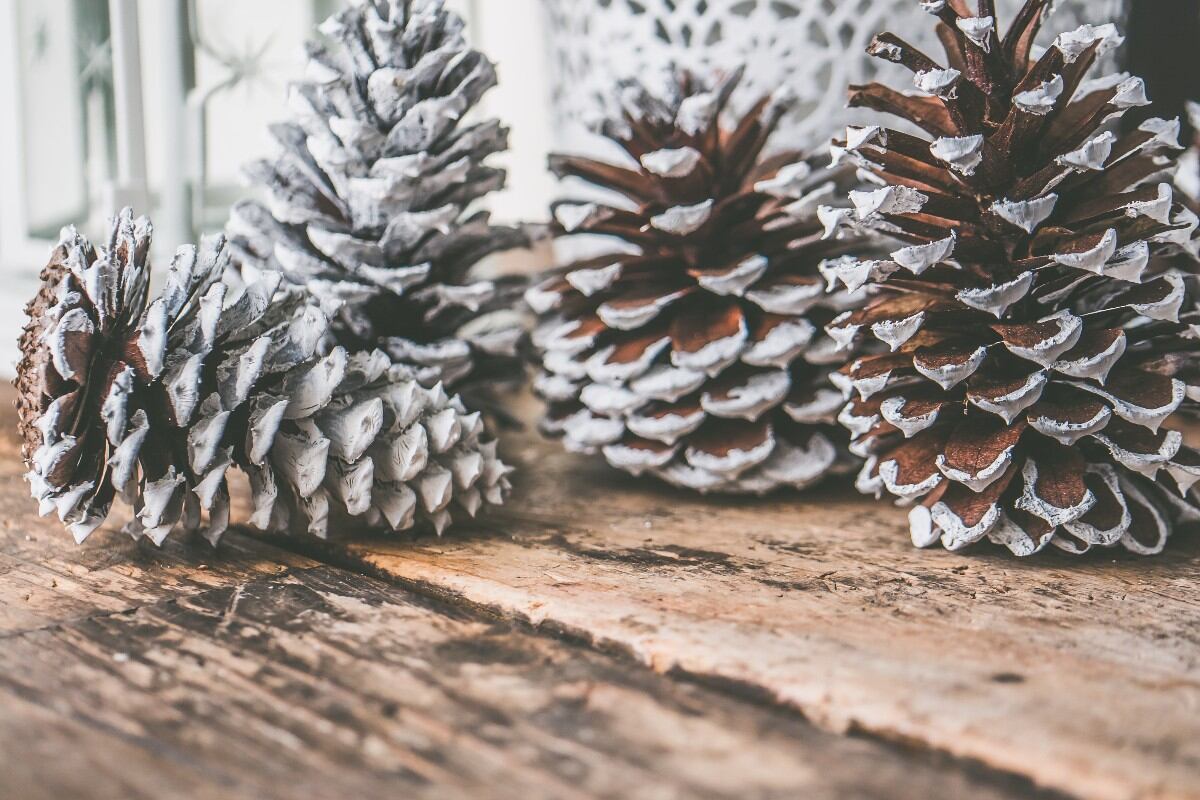 Las piñas forman parte de la decoración de Navidad. (Foto: Pexels)