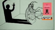 El hombre que se convirtió en un insecto