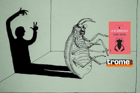El hombre que se convirtió en un insecto