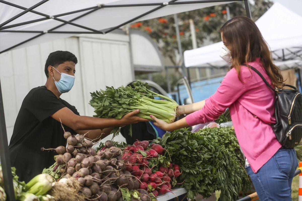 Las empresas autorizadas a trabajar durante el periodo de emergencia (alimentos, salud, transporte, bancos, entre otras) pueden acordar con sus trabajadores que laboren los referidos feriados y sean compensados con descanso otros días laborables posteriores, caso contrario perciben triple pago (Foto: Andina)