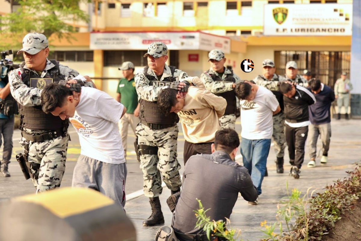 Trasladan Pulpos a Challapalca