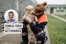 Medidas clave para proteger a tu mascota ante un sismo