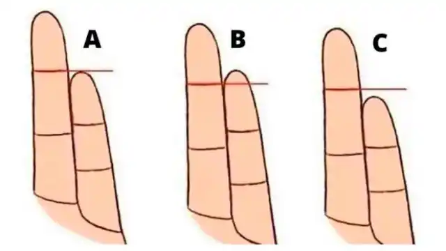 El tamaño de tu meñique respecto a tu anular en este test viral tes dirá qué tipo eres. (Foto: Genial.Guru)