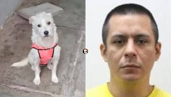 Dueña de perrita asesinada