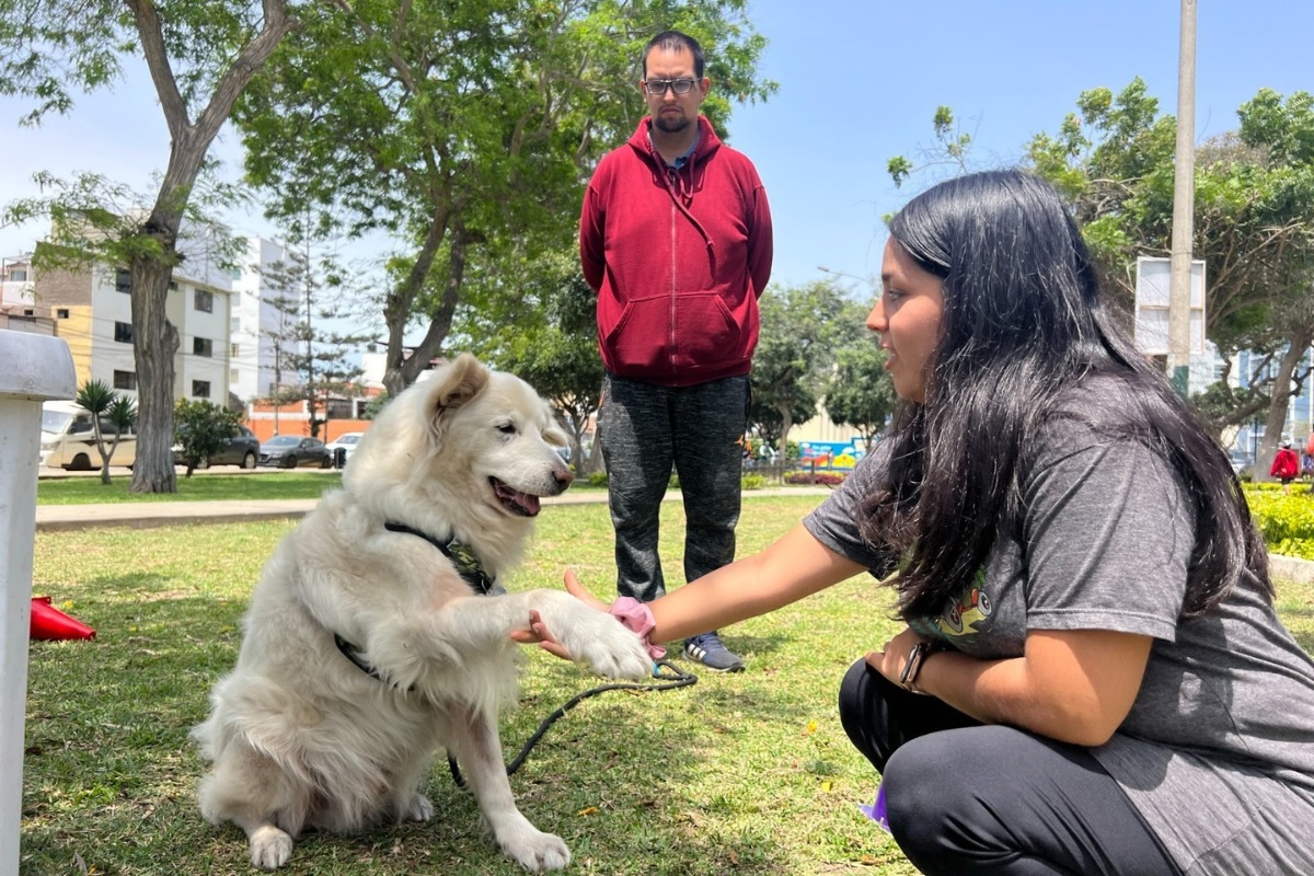 Se dictará un curso gratuito de ‘Mini guías caninos’ que brindará la Brigada Canina de Pueblo Libre