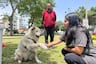 Brigada canina de Pueblo Libre ofrece clases gratuitas de adiestramiento canino para niños