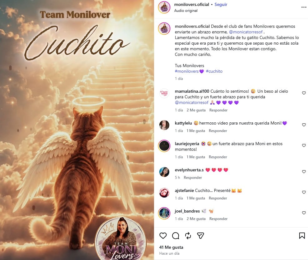 Mónica Torres perdió a uno de sus gatitos.