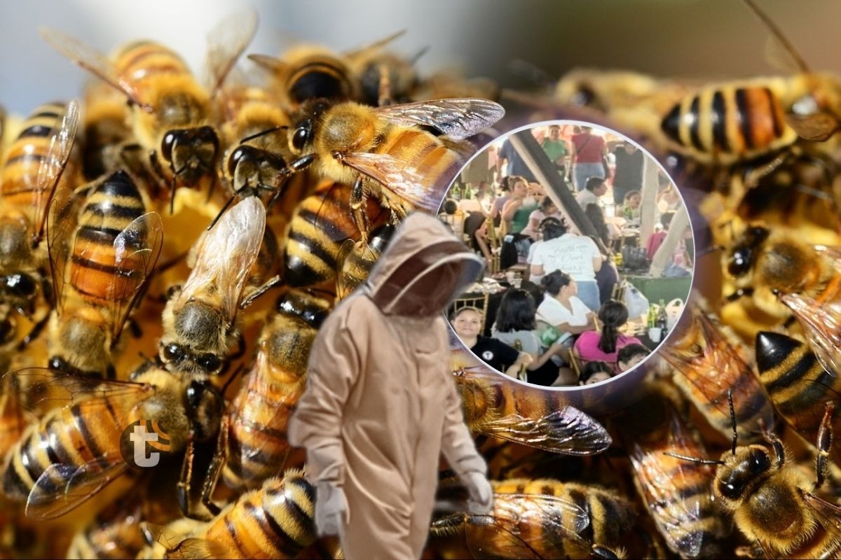 Abejas acabaron con evento musical en distrito de Morales (Foto: @panamerocana)