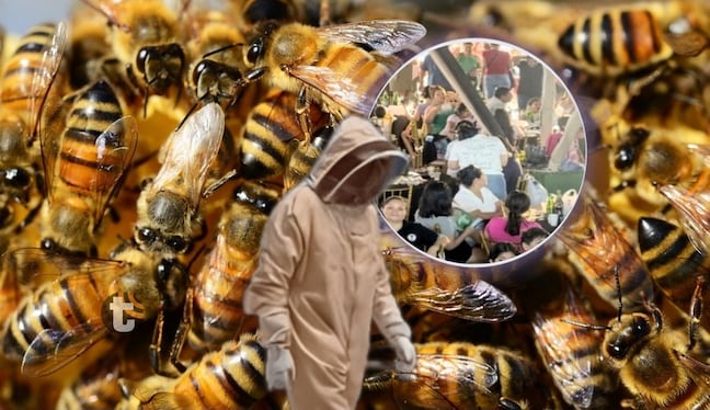 Abejas acabaron con evento musical en distrito de Morales (Foto: @panamerocana)