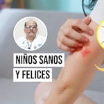 ¿Cómo saber si una araña mordió a tu hijo y qué síntomas debes observar?
