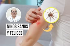 ¿Cómo saber si una araña mordió a tu hijo y qué síntomas debes observar?