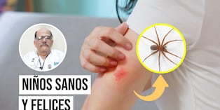 Las mordeduras de araña pueden causar enrojecimiento, dolor y otras complicaciones. Foto: Composición / Istock.