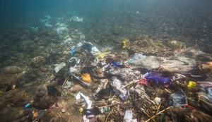 Peruanos apoyan prohibición mundial de plásticos de un solo uso para detener crisis de contaminación