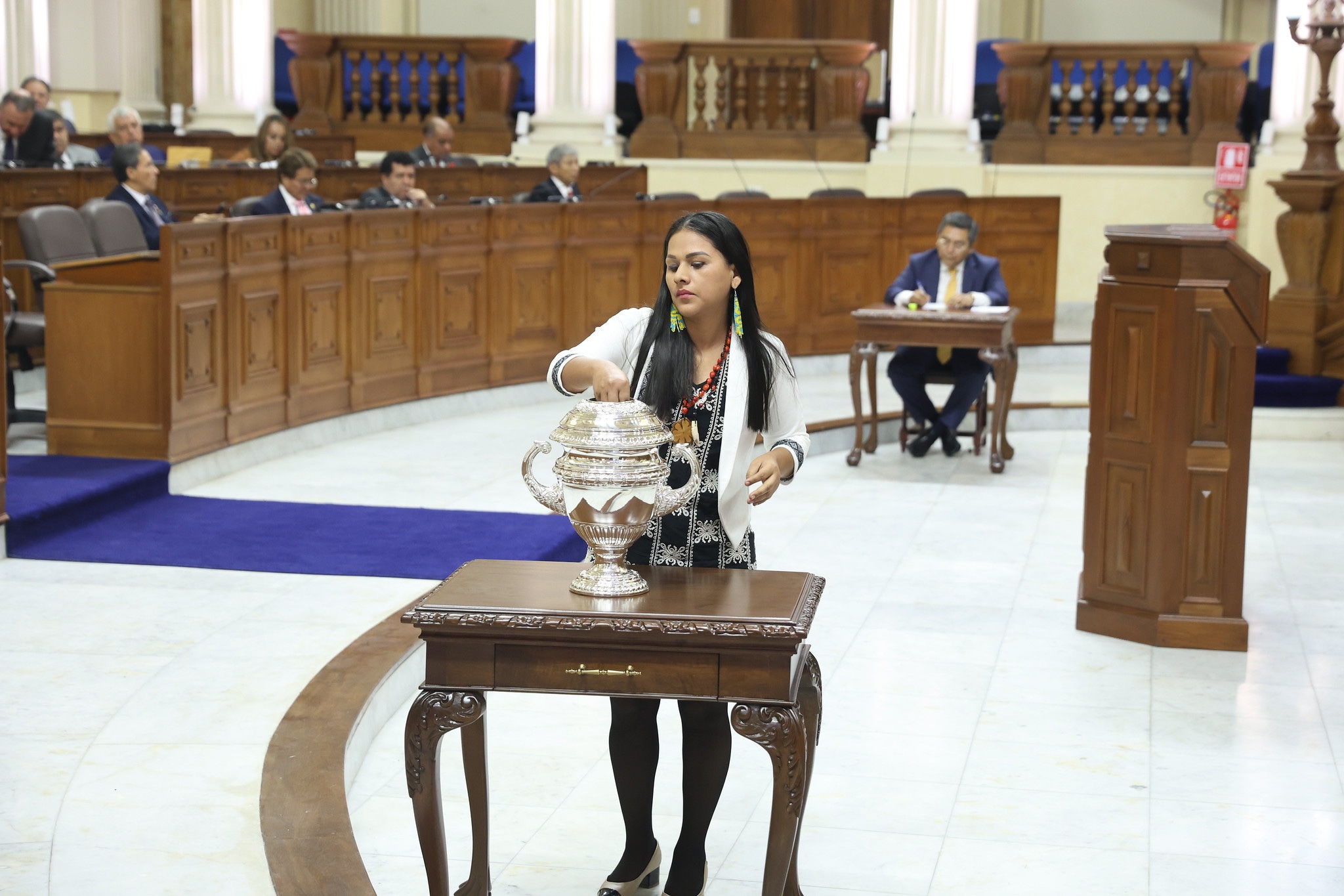Silvana Robles al momento de su elección de la mesa directiva de la Cámara de Senadores. (Foto: Congreso)