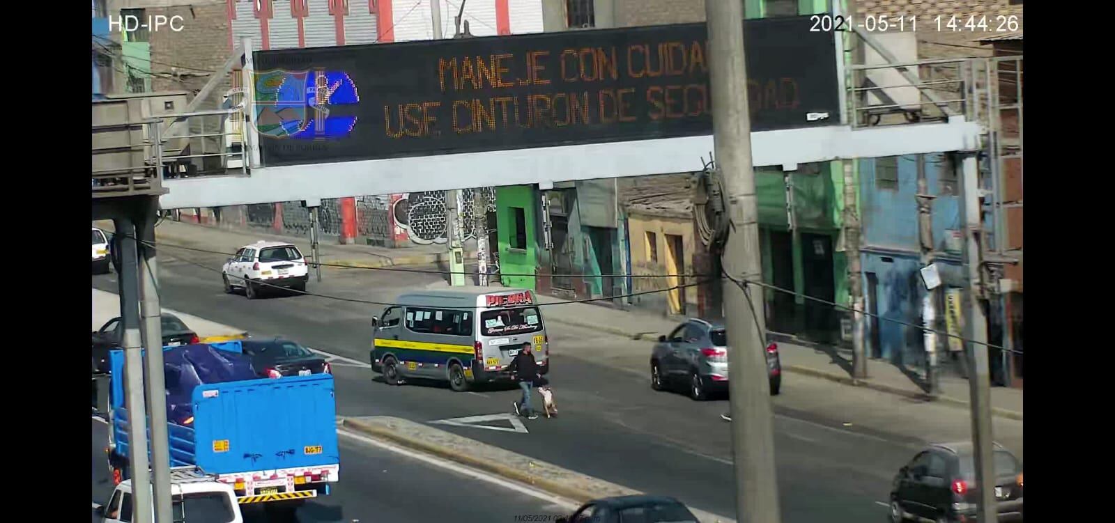 Ratero llevaba a su perro para robar y luego le dio una patada. (Secuencia, número 2).