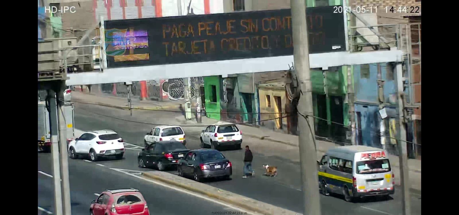 Ratero llevaba a su perro para robar y luego le dio una patada. (Secuencia, número 1).