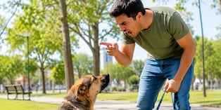 Gritar a tu perro puede afectar su comportamiento más de lo que imaginas. Foto: Chat GPT.