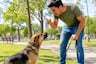 ¿Crees que gritarle a tu perro lo corrige? Piénsalo dos veces