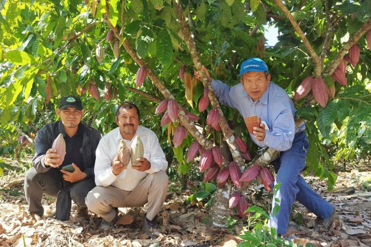 A través de un acuerdo con una entidad suiza se promueve actividades de conservación de los parques naturales