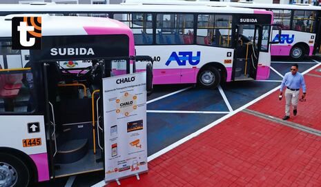 Presentan flota de buses del Corredor Rosado: conoce cuándo inicia operaciones y las rutas que conectarán...