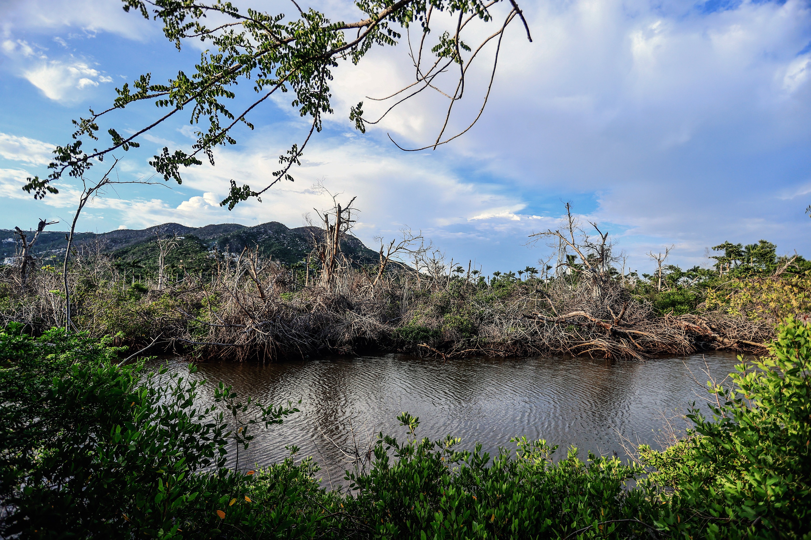 Fotografía de la laguna de Puerto Márquez, el 21 de septiembre de 2024 en la ciudad de Acapulco, en el estado de Guerrero (México). EFE/David Guzmán