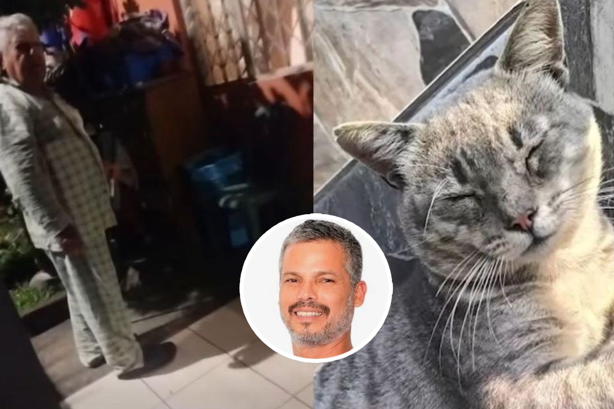 Un adulto mayor atacó a palazos y le causó la muerte a un gatito en La Victoria. Vecinos piden justicia. Foto: difusión