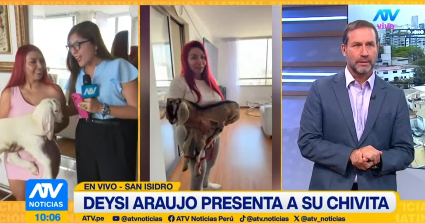 Deysi Araujo presenta a su cabrita, a quien cría en su departamento de San Isidro.