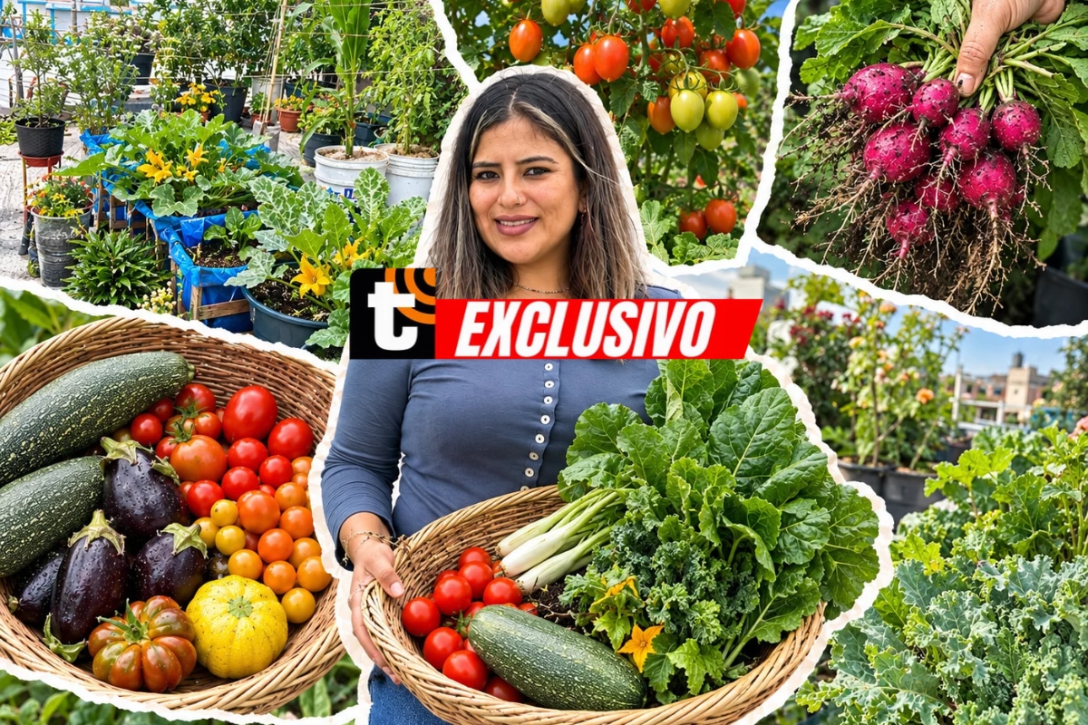 María encontró en el cultivo una forma de aprovechar cada espacio de su casa y disfrutar de alimentos cosechados por ella misma. Foto: Archivo María Ramírez.