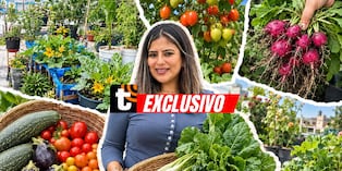 María encontró en el cultivo una forma de aprovechar cada espacio de su casa y disfrutar de alimentos cosechados por ella misma. Foto: Archivo María Ramírez.