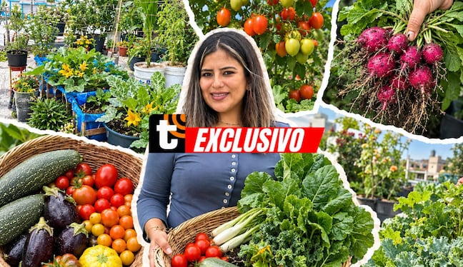 María encontró en el cultivo una forma de aprovechar cada espacio de su casa y disfrutar de alimentos cosechados por ella misma. Foto: Archivo María Ramírez.