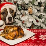 Razones por las que no debes compartir tu cena navideña con tu perro