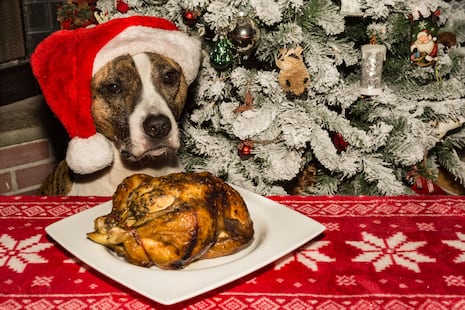 Razones por las que no debes compartir tu cena navideña con tu perro