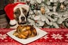 Razones por las que no debes compartir tu cena navideña con tu perro