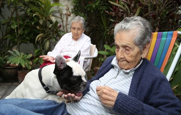 Adultos mayores y mascotas. Foto: Municipalidad de Miraflores