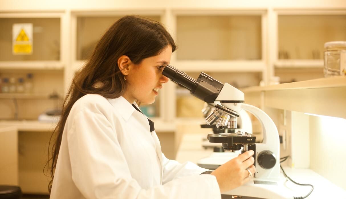 Algunos trabajos del rubro de medicina aparecen en el ranking. (Foto: GEC/Archivo)