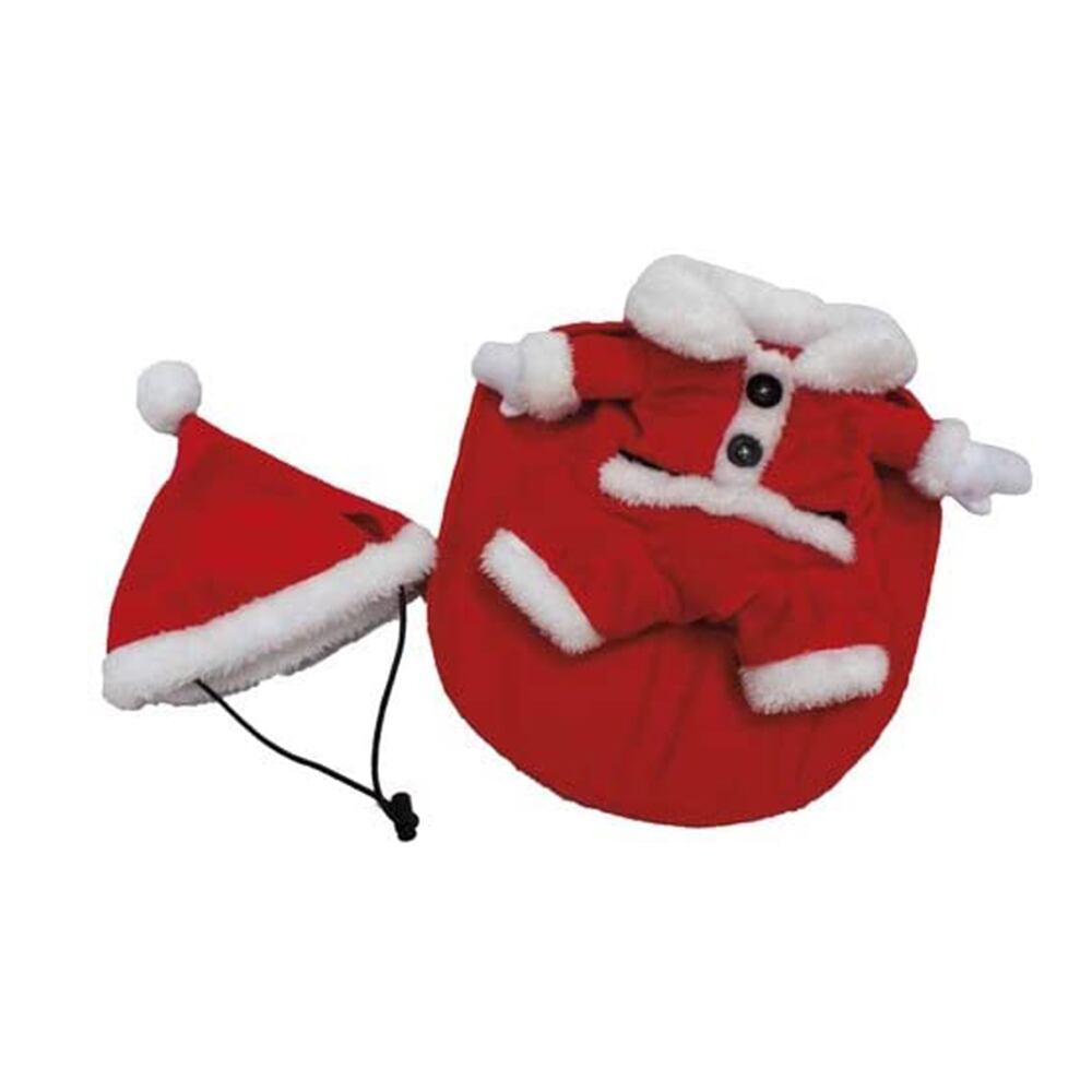 Con este atuento, tu mascota se verá adorable.