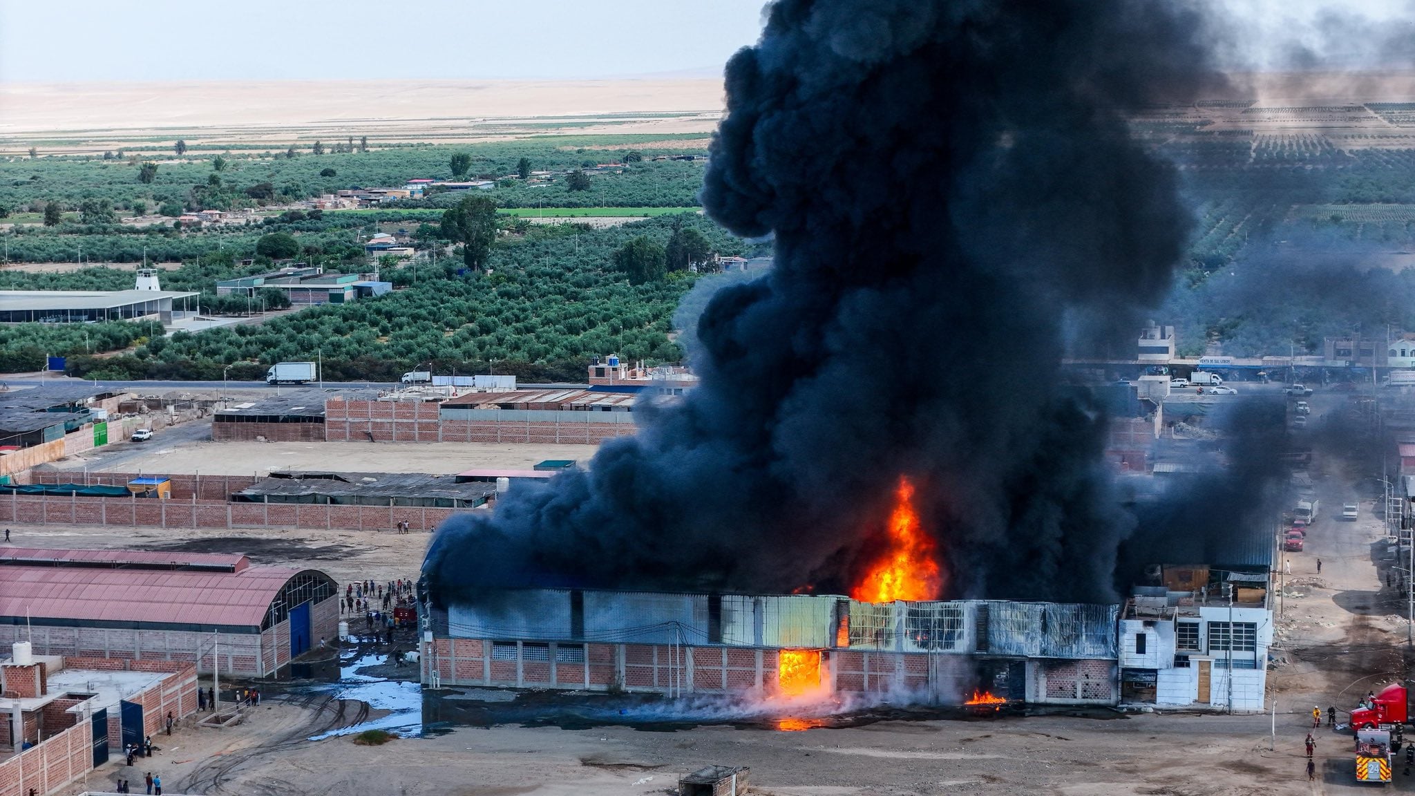(Fotos: Municipalidad Provincial de Tacna)