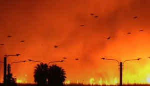 Incendio forestal se propaga hasta la Base Naval del Callao| VIDEO