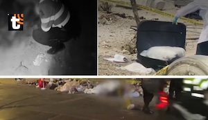 Sicariato aumenta en Lima: cadáveres son encontrados a diario en distintos distritos de la capital