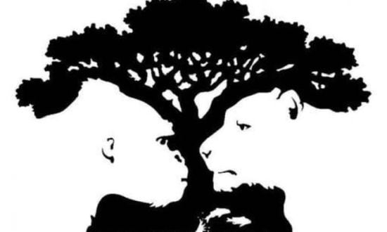 Test psicológico: la primera figuras que escojas definirá características ocultas de tu personalidad. (Foto: Pinterest)