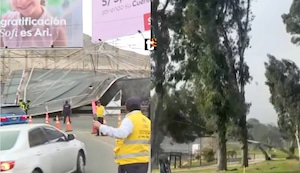 Fuertes vientos en Lima: Cae panel publicitario sobre pista en Surco y derriba árboles en La Molina