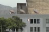 ¡Embargan al Congreso! Empresa exige pago de millonaria deuda por proyecto de antenas satelitales