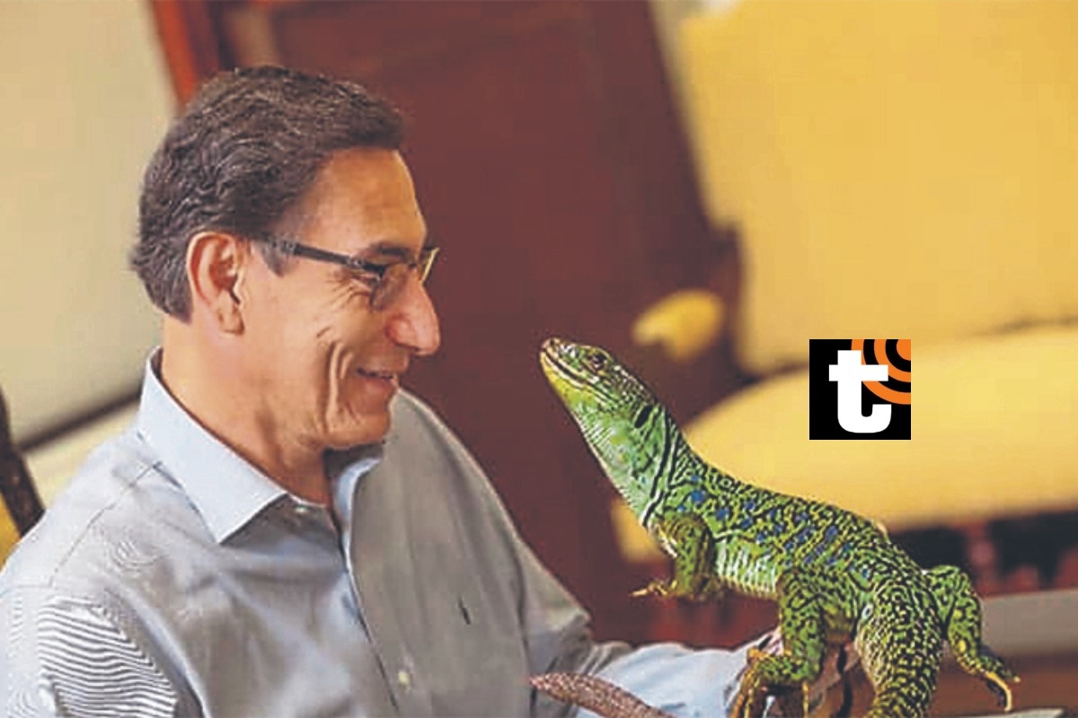 El ‘lagarto’ tiene amigos en la Fiscalía