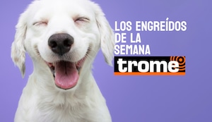 Pura ternura: estos son los engreídos Trome que brillaron esta semana