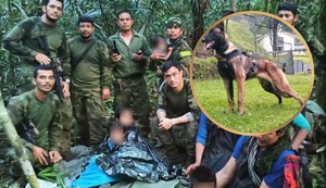 Qué pasó con Wilson, perro héroe en el rescate de los niños perdidos por 40 días en la selva virgen de Colombia